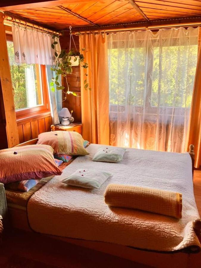 Chalupa Na Wierchu Закопане Экстерьер фото